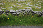 Stone walls and karst pavements and topography of the Burren approx 5km south of Ballyvaughan Co Clare Ireland. Exposures of the Dinantian Burren Limestone Formation are composed of shallow water carbonates. Note the clints (limestone blocks) and grikes (joints formed by Variscan folding (Coller, 1984) and fracturing) enlarged by Pleistocene disolution (Williams, 1966).